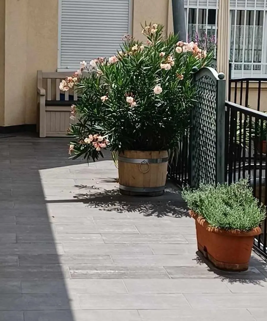 Virag Apartment بودابست 0*,  المجر